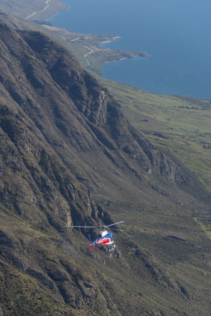 queenstown wedding planner